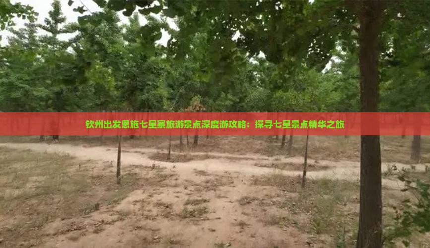 钦州去恩施七星寨自由团