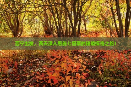 西宁去恩施七星寨二日游