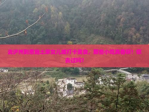 泸州到恩施土家女儿城旅游小吃