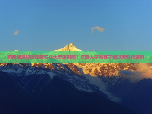 鹤岗到恩施梭布垭石林大型旅游团