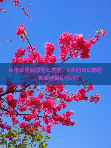 张家界去恩施七星寨六日游