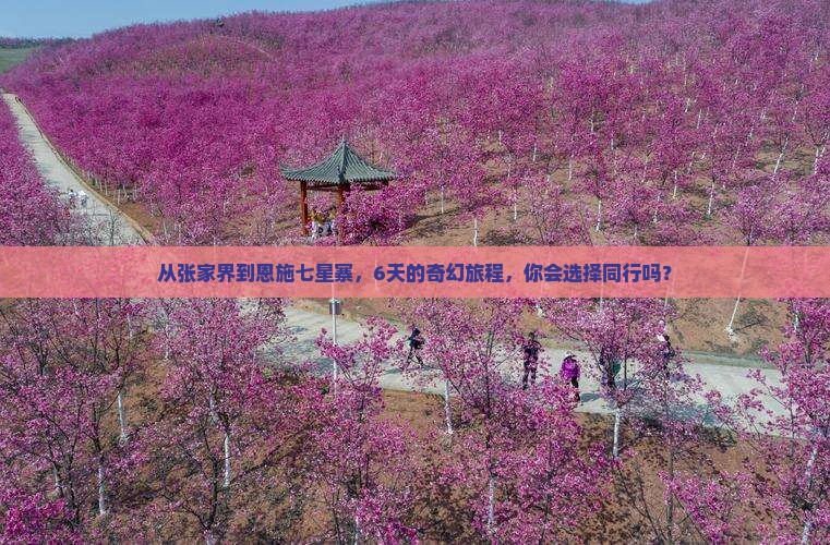 张家界去恩施七星寨六日游