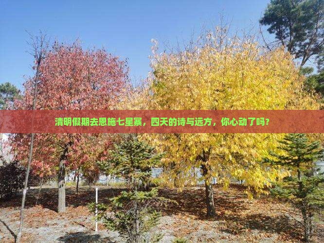 清明节到恩施七星寨四日游