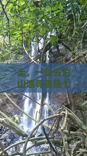 白山去恩施七星寨团体旅游