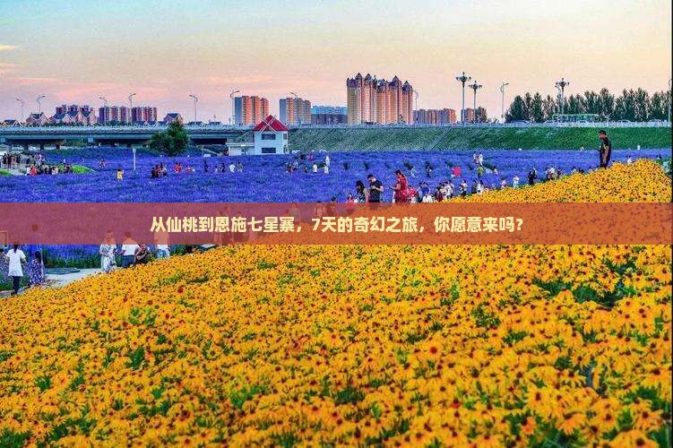 仙桃去恩施七星寨七日游