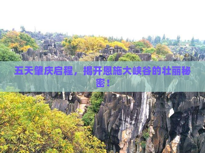 肇庆去恩施大峡谷五日游