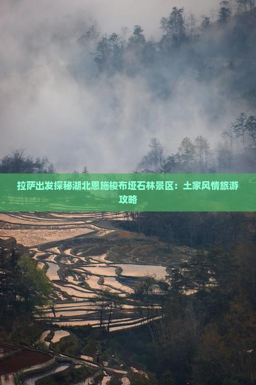 拉萨去恩施梭布垭石林景点