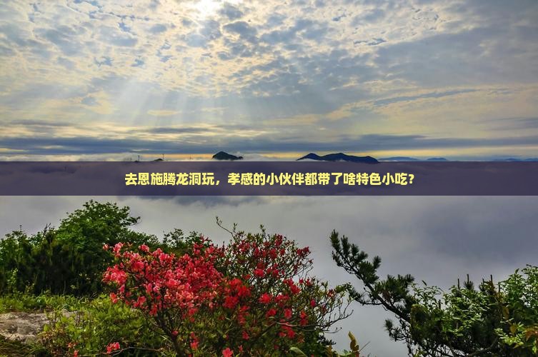 孝感去恩施腾龙洞旅游小吃