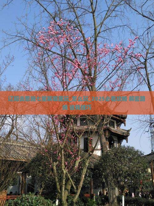 辽阳去恩施七星寨哪里玩