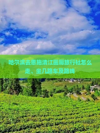 哈尔滨去恩施清江画廊旅行社