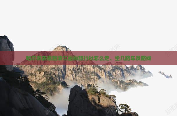 哈尔滨去恩施清江画廊旅行社