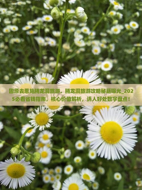 固原去恩施腾龙洞旅游