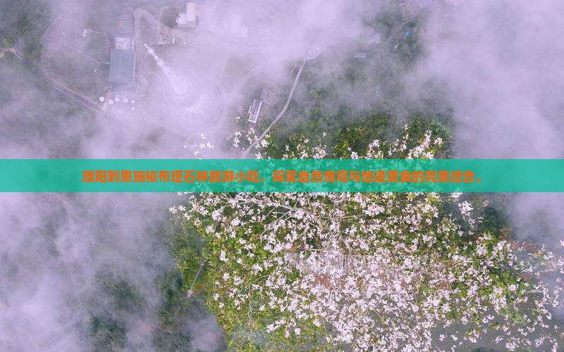 濮阳到恩施梭布垭石林旅游小吃