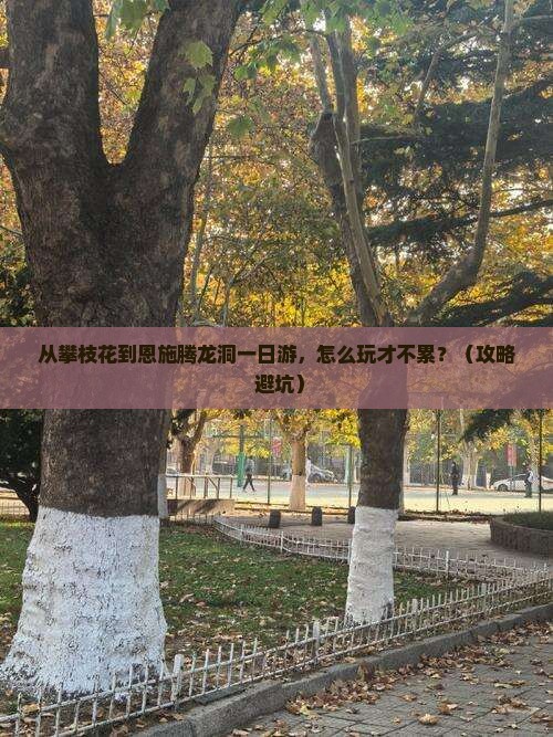 攀枝花到恩施腾龙洞一日