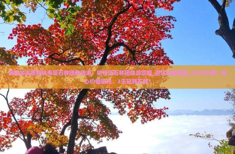 嘉峪关去恩施梭布垭石林团体旅游