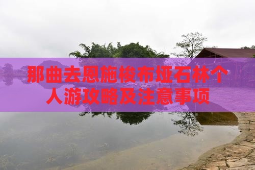 那曲去恩施梭布垭石林个人游