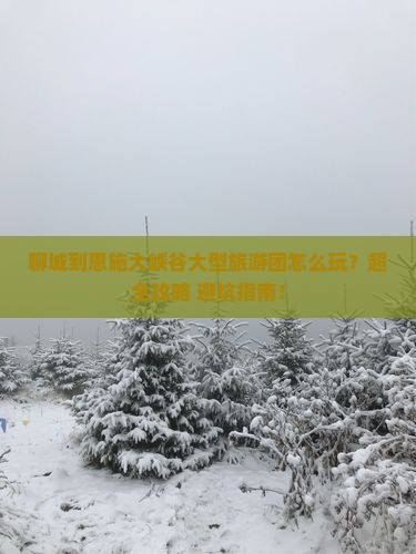 聊城到恩施大峡谷大型旅游团