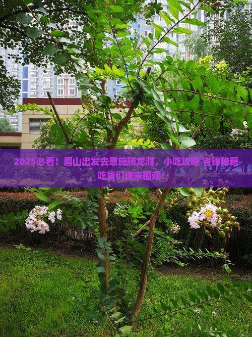 眉山到恩施腾龙洞旅游小吃