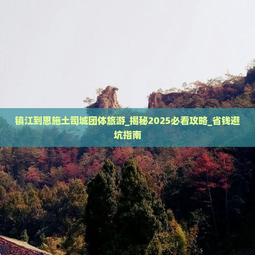镇江到恩施土司城团体旅游