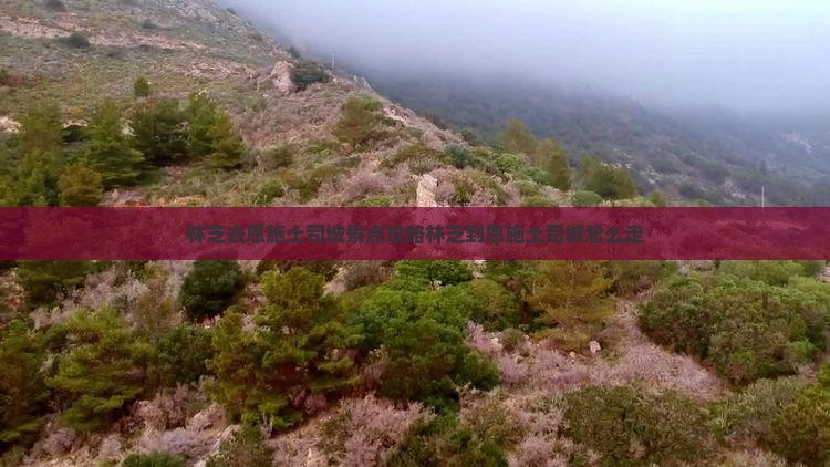 林芝去恩施土司城景点