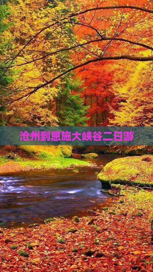 沧州到恩施大峡谷二日游