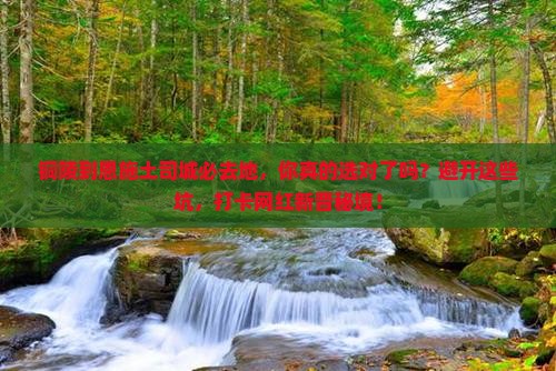 铜陵到恩施土司城必去地