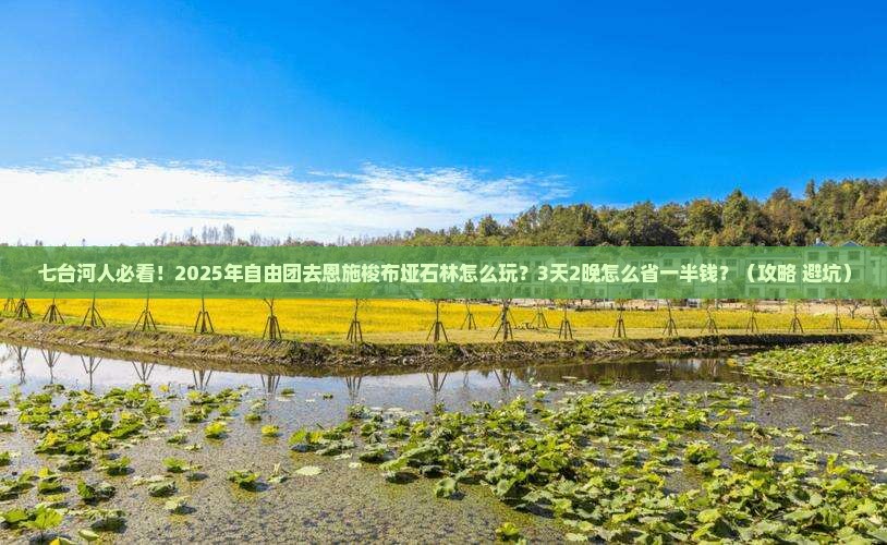 七台河到恩施梭布垭石林自由团