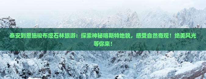泰安到恩施梭布垭石林旅游