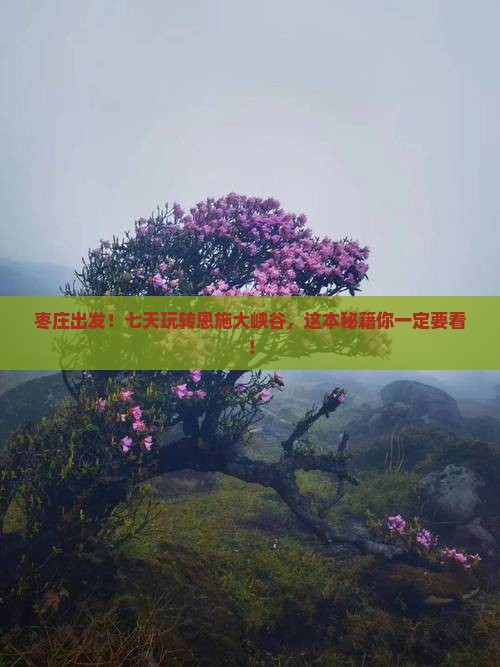 枣庄去恩施大峡谷七日游 枣庄去恩施大峡谷七日游
