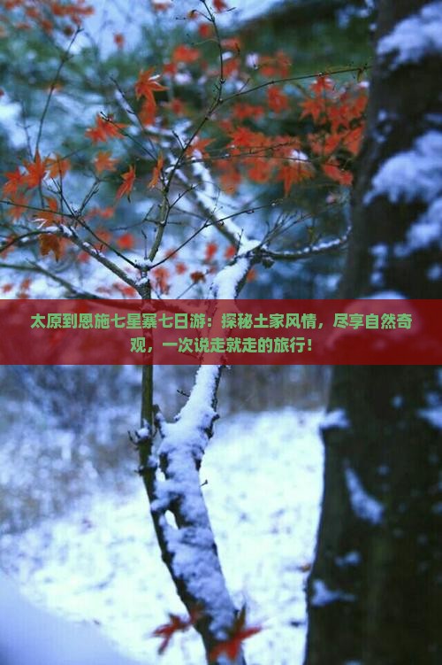 太原到恩施七星寨七日游