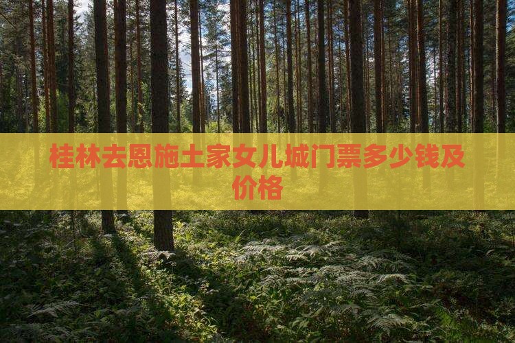 桂林去恩施土家女儿城门票