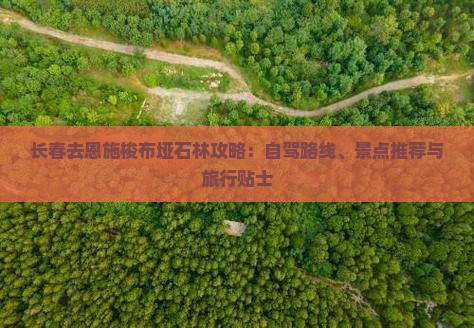 长春去恩施梭布垭石林攻略