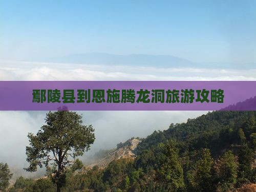 鄢陵县到恩施腾龙洞景点