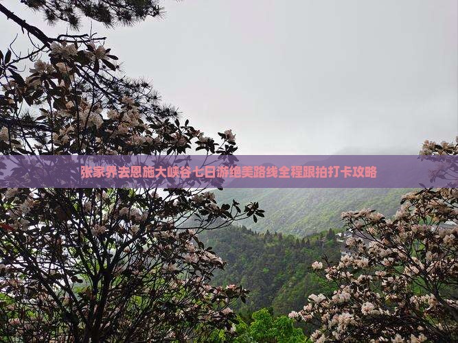 张家界去恩施大峡谷七日游