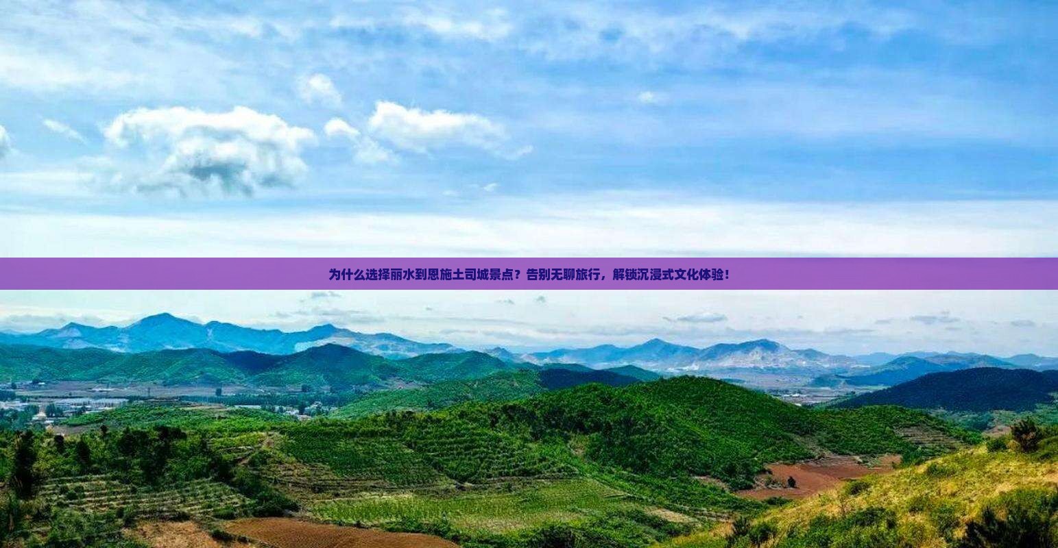 丽水到恩施土司城景点 丽水到恩施土司城景点