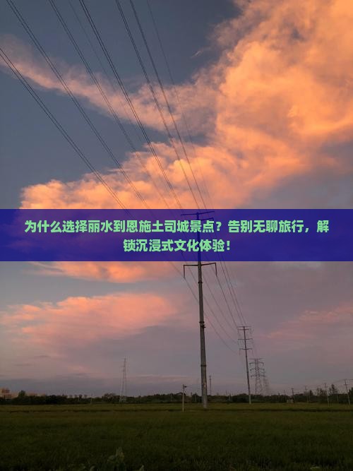 丽水到恩施土司城景点 丽水到恩施土司城景点