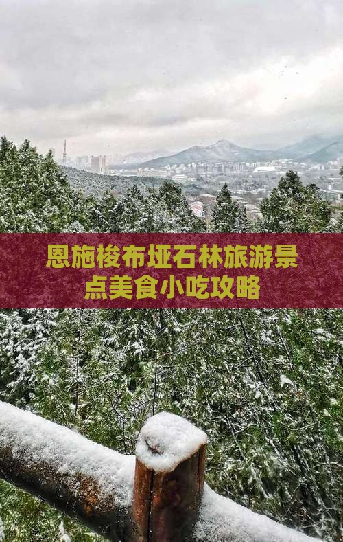 四平去恩施梭布垭石林旅游小吃