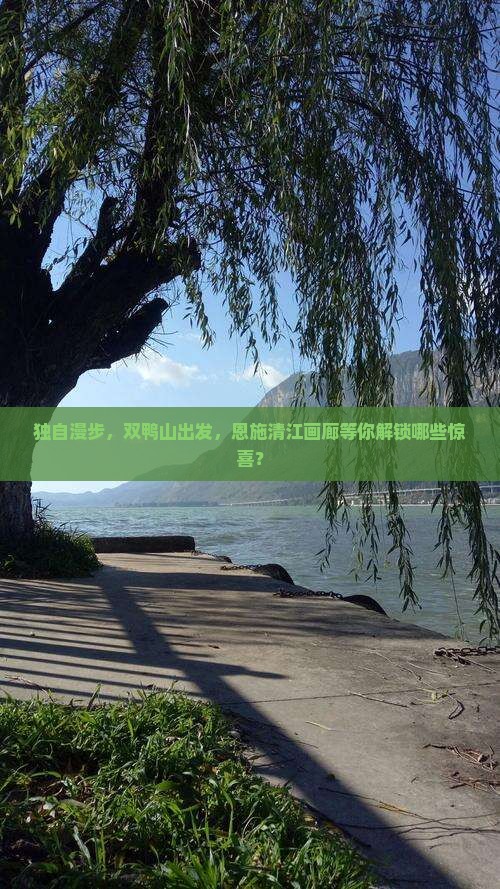 双鸭山到恩施清江画廊个人游