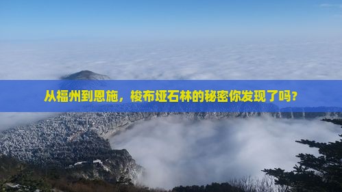 福州到恩施梭布垭石林景点