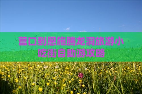 营口到恩施腾龙洞旅游小吃