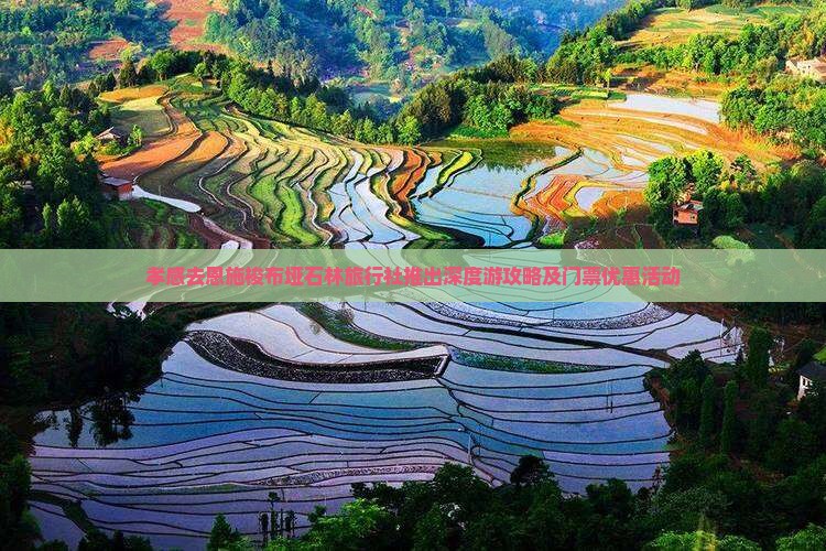 孝感去恩施梭布垭石林旅行社