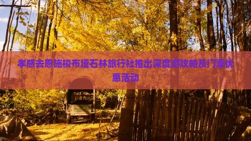 孝感去恩施梭布垭石林旅行社