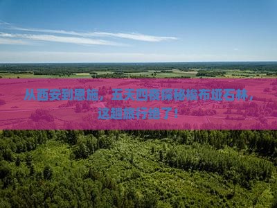 西安去恩施梭布垭石林五日游
