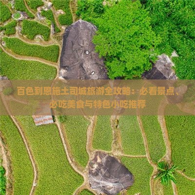 百色到恩施土司城旅游小吃