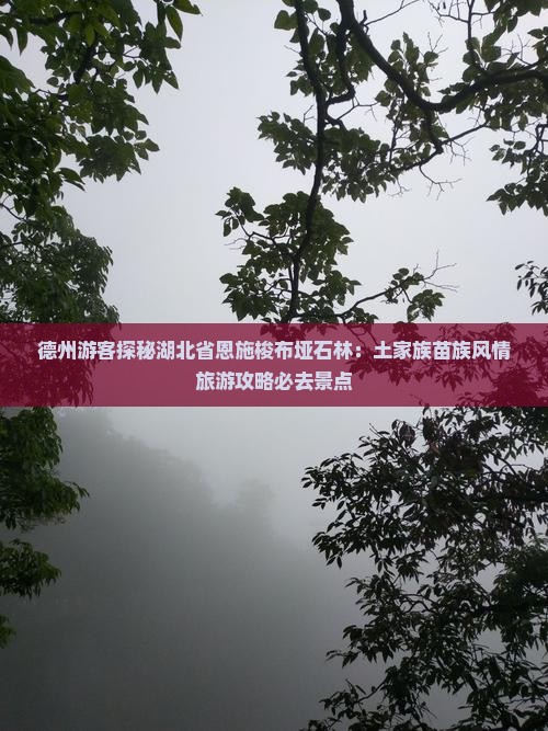 德州到恩施梭布垭石林必去地