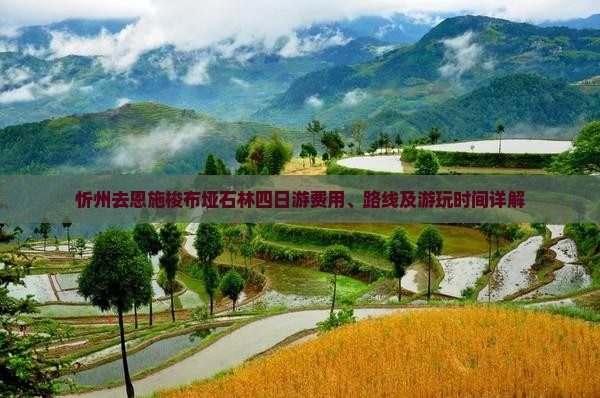 忻州去恩施梭布垭石林四日游
