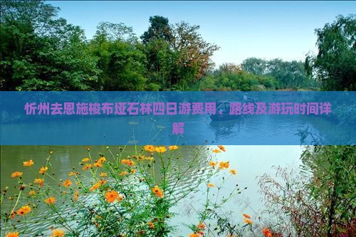 忻州去恩施梭布垭石林四日游
