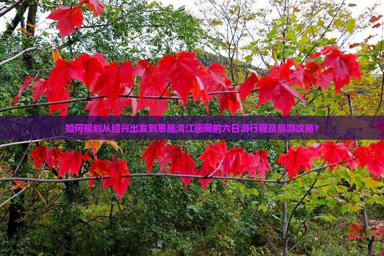 绍兴到恩施清江画廊六日游