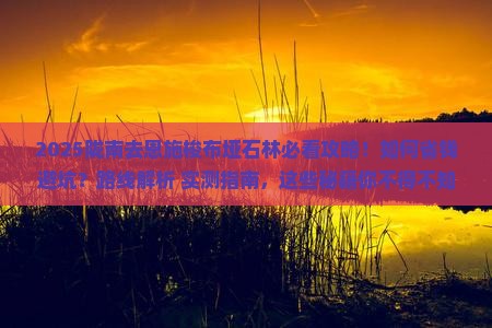 陇南去恩施梭布垭石林景点 陇南去恩施梭布垭石林景点