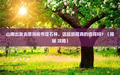山南到恩施梭布垭石林旅游